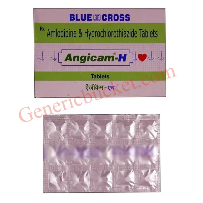Angicam-H Tablet_converted (1)-ink Angicam-H Tablet