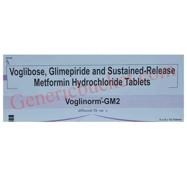 Voglinorm-GM2 Tablet (1)-ink Voglinorm-GM2 Tablet