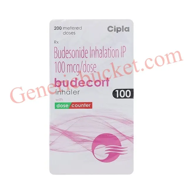 Budecort Inhaler 100_converted-ink Budecort Inhaler 100